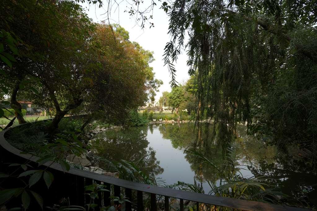 Best Western Resort Country Club Gurgaon Luaran gambar